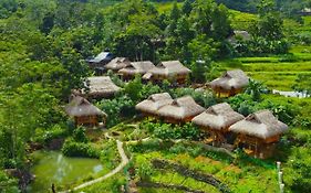 Puluong Ohayo